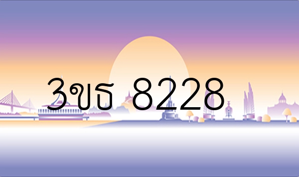 3ขธ 8228